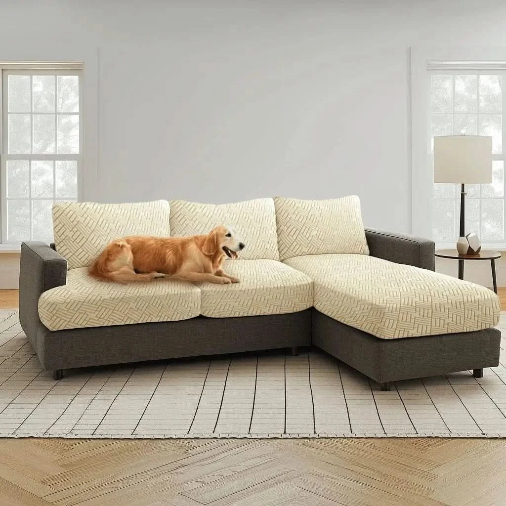 Chew retailers proof couch